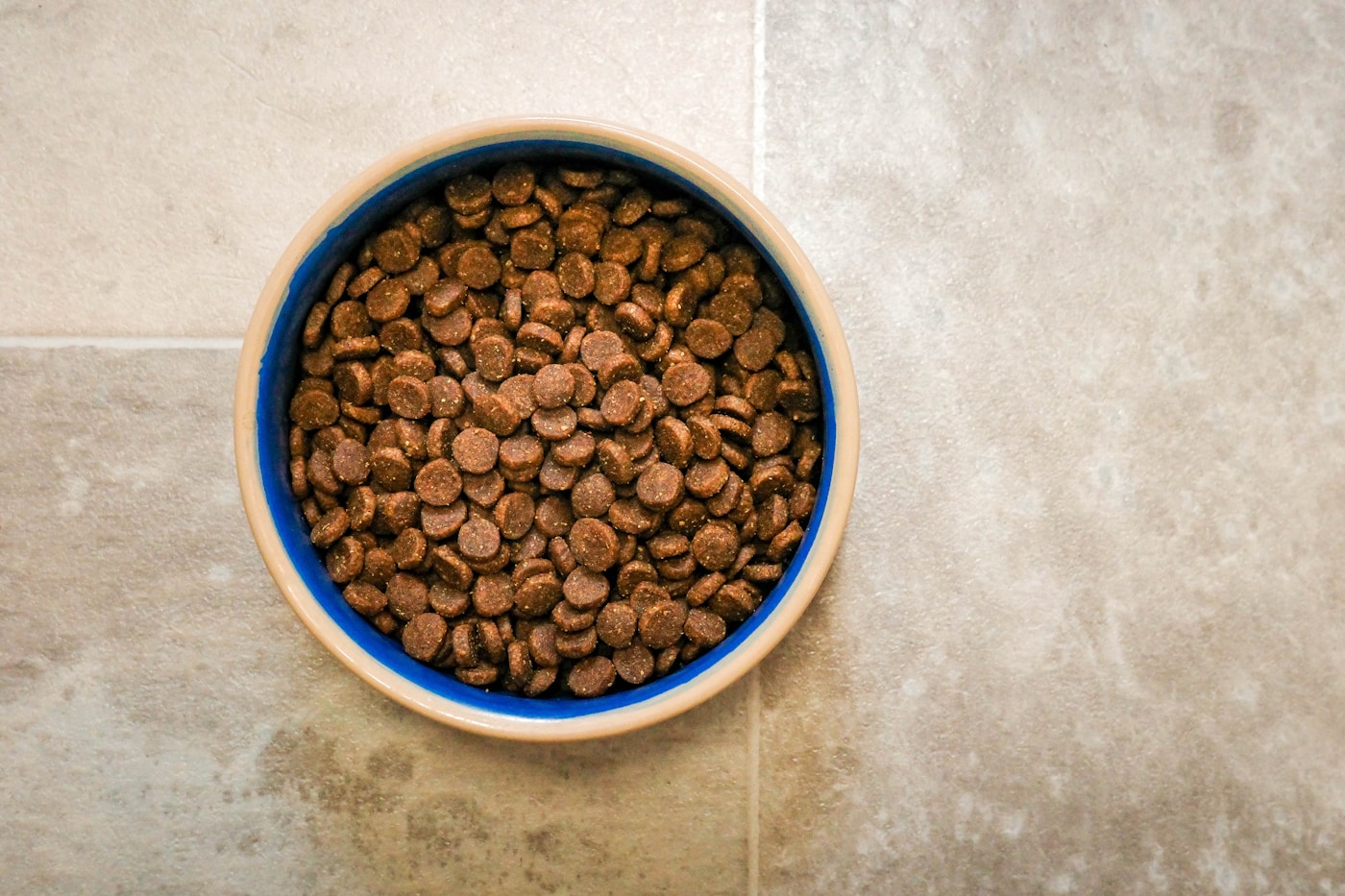 A blue-rimmed bowl filled with dry dog food on a tiled floor.