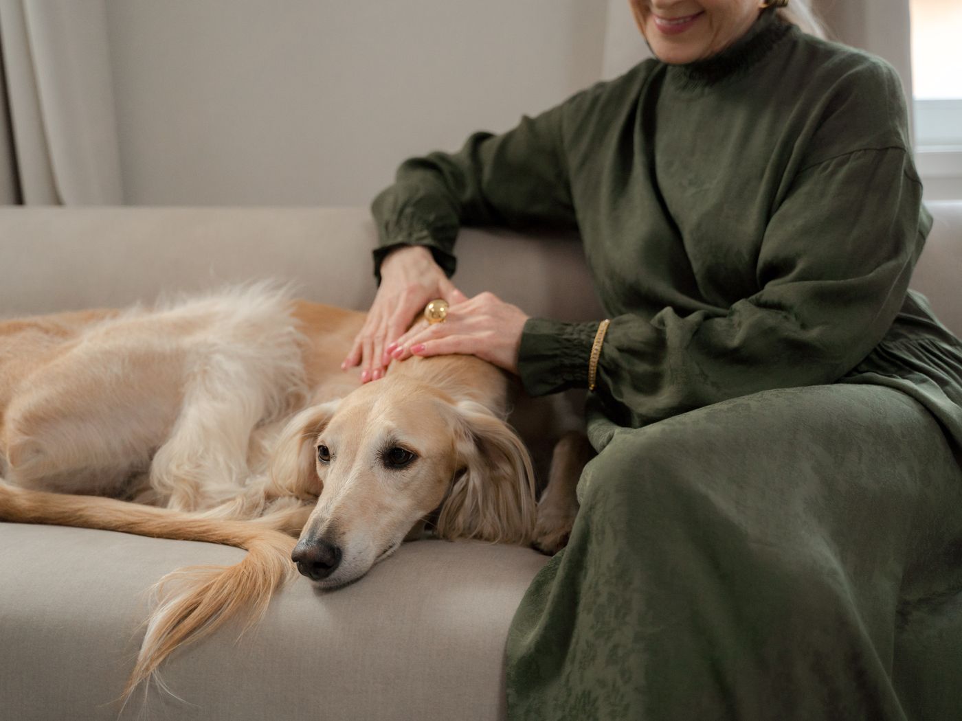 A warm editorial scene with a dog, a cat, folded blankets, a ceramic bowl, a travel bottle, and grooming tools on a wooden table.