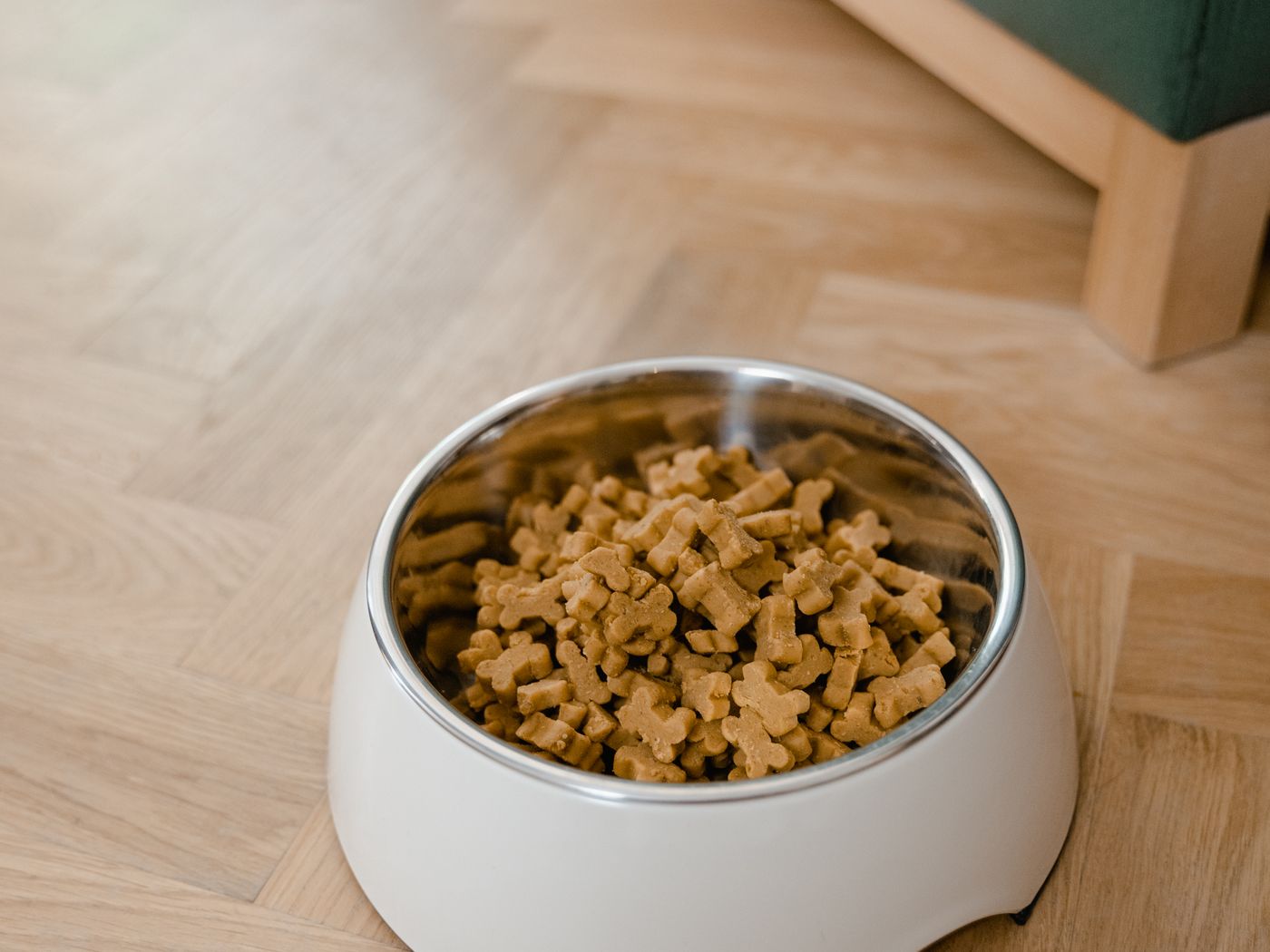 A bowl of dry dog food on a wooden floor in a clean home setting.